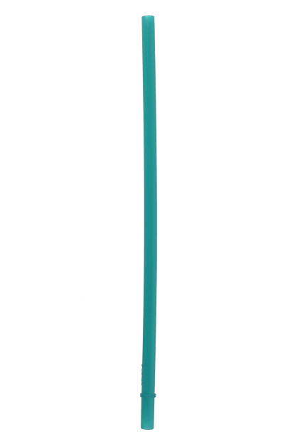 Teal Straw 2 Pack