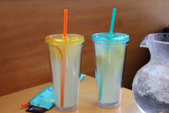Teal Straw 2 Pack