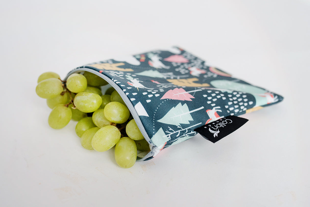 2073 - Fairy Tale Reusable Snack Bag - Large