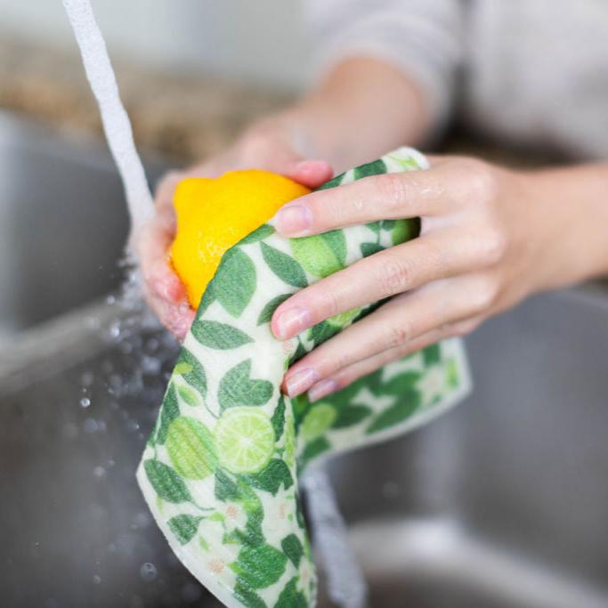 4 Pk Sponge Cloths - In the Orchard