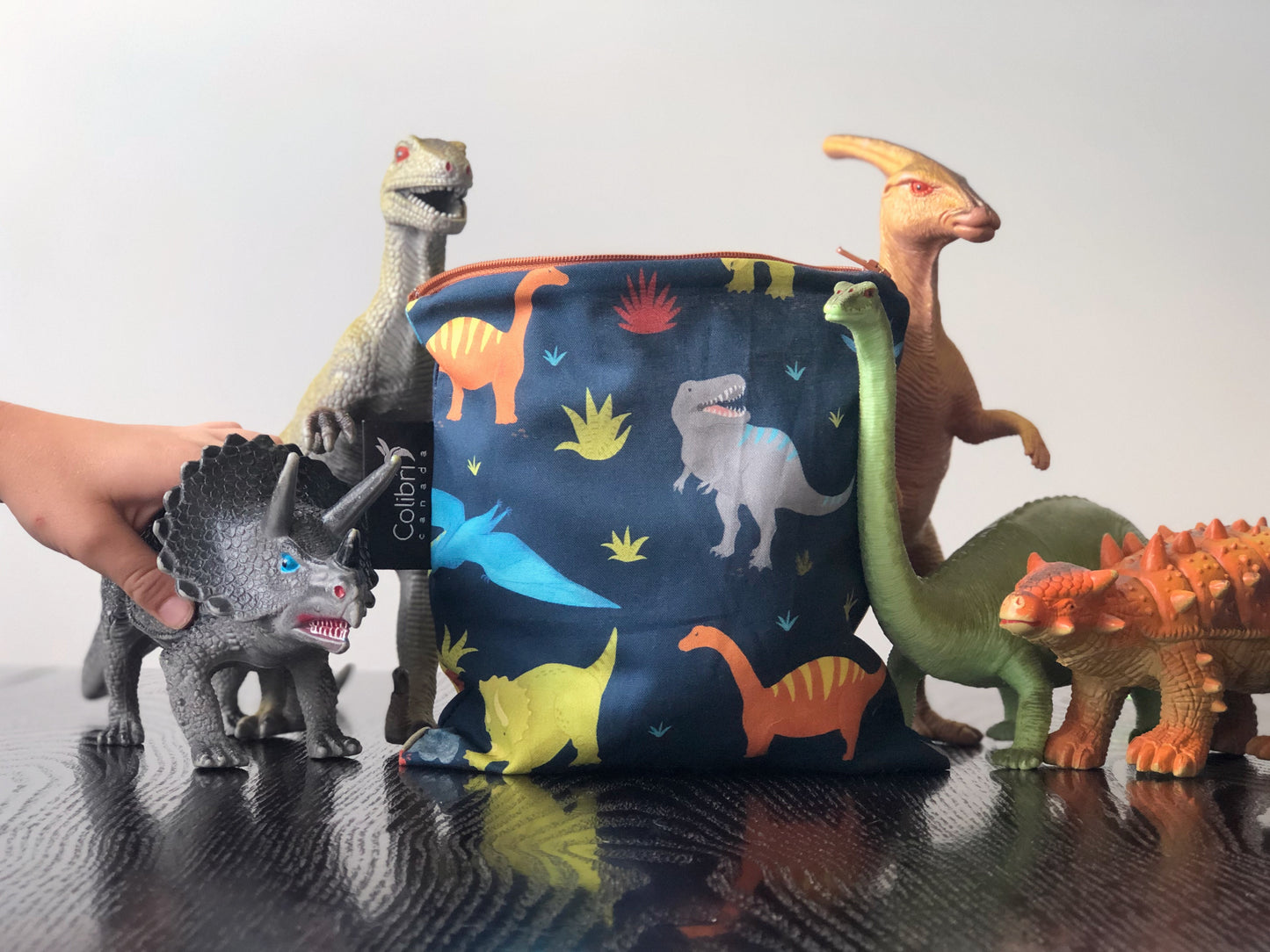 2101 - Dinosaurs Reusable Snack Bag - Large