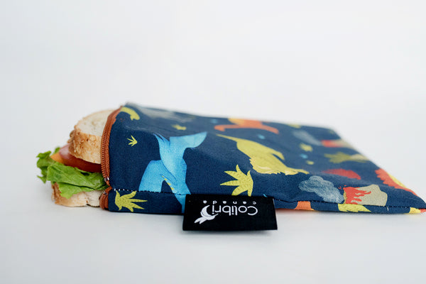 2101 - Dinosaurs Reusable Snack Bag - Large