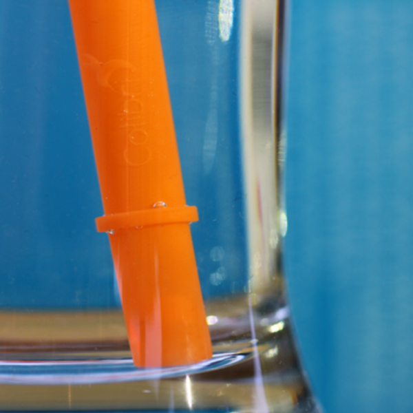 Orange Straw 2 Pack